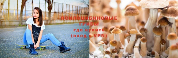 спиды Горняк