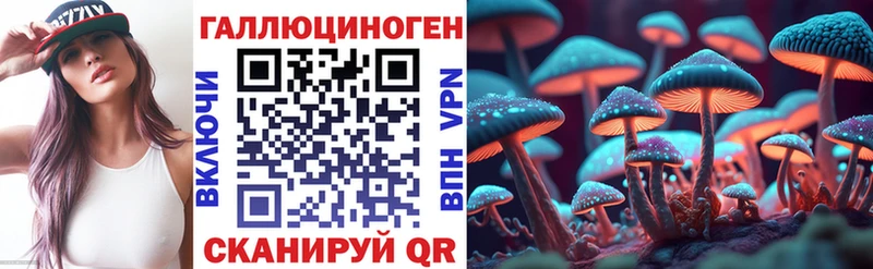 Купить  Фатеж  Псилоцибиновые грибы мицелий 
