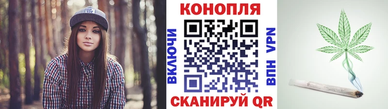 Купить закладки  Фатеж  Конопля THC 21% 